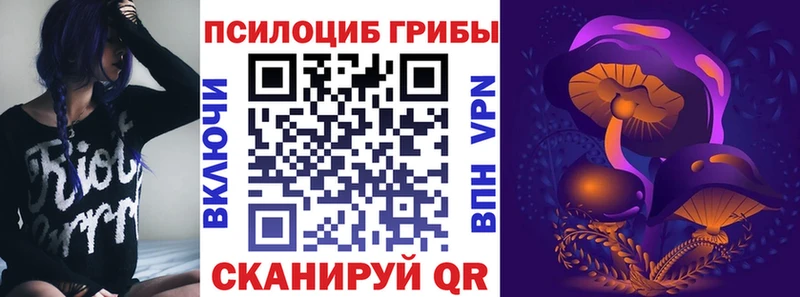 shop наркотические препараты Орск Псилоцибиновые грибы мицелий